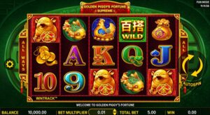 slot golden piggy fortune ( DSD game) Slot Review 